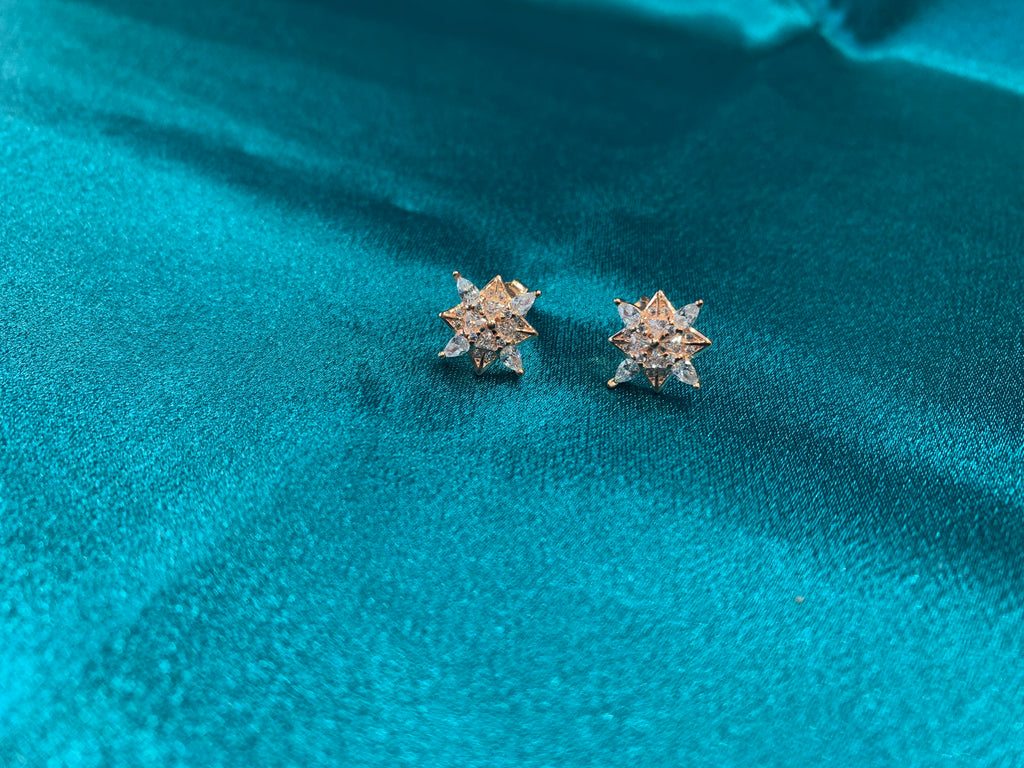 Women’s Fancy rose gold plated Silver Earrings