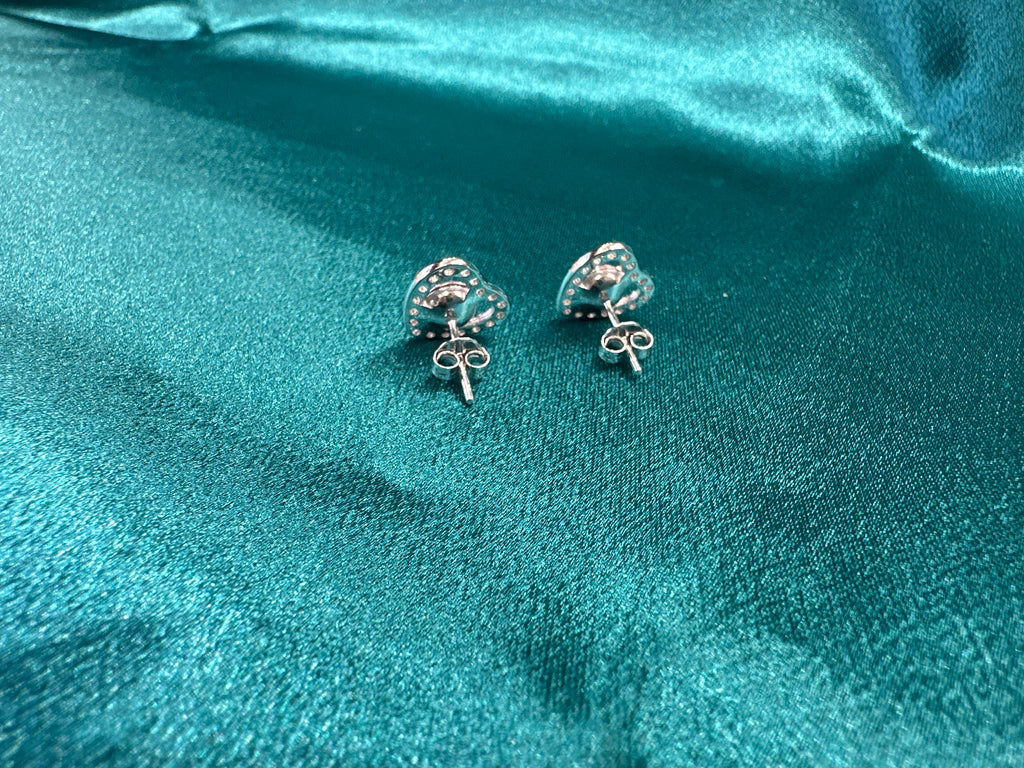 Women’s Fancy Silver Earrings