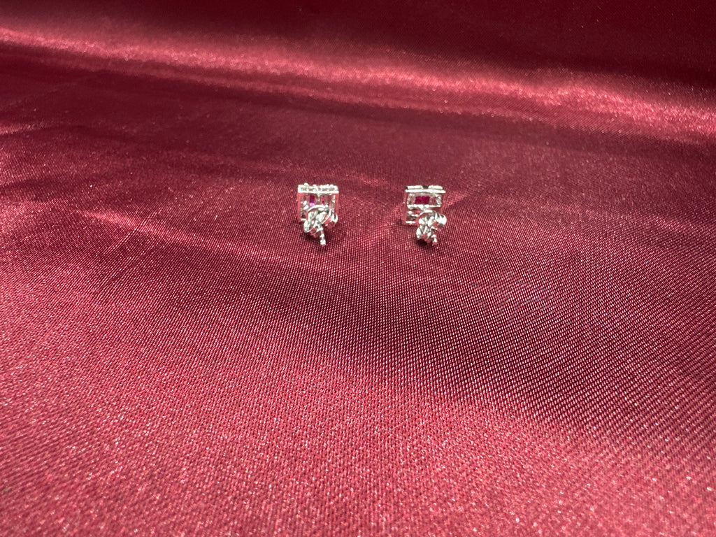 Women’s Fancy Silver Earrings