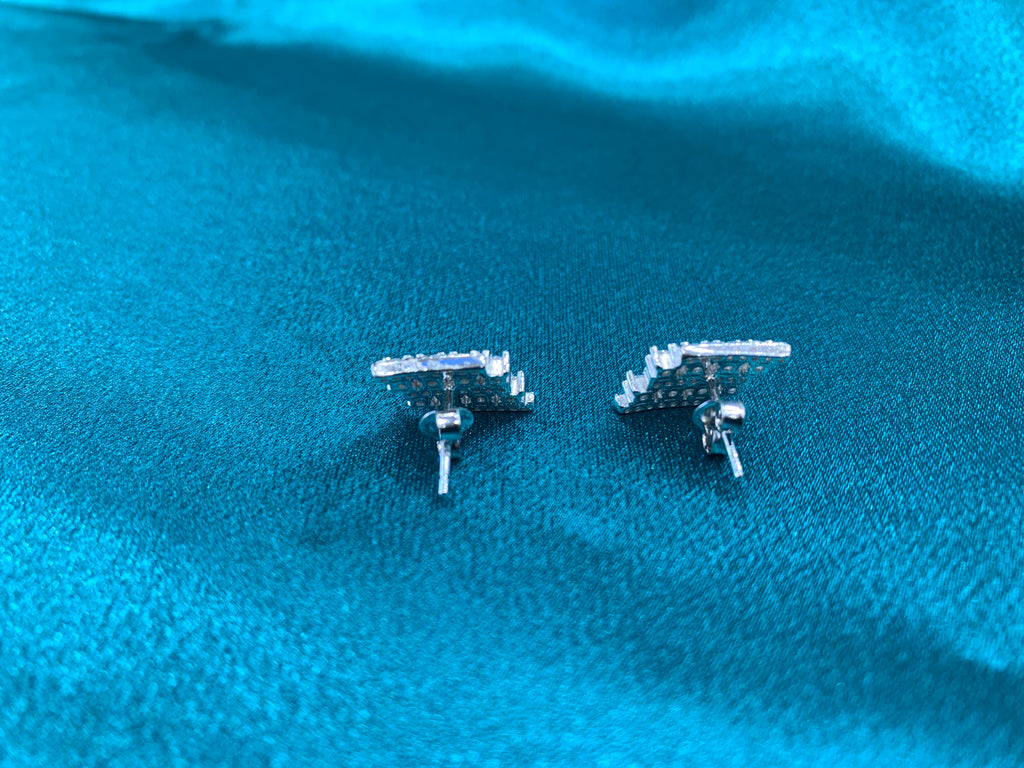 Women’s Fancy Silver Earrings