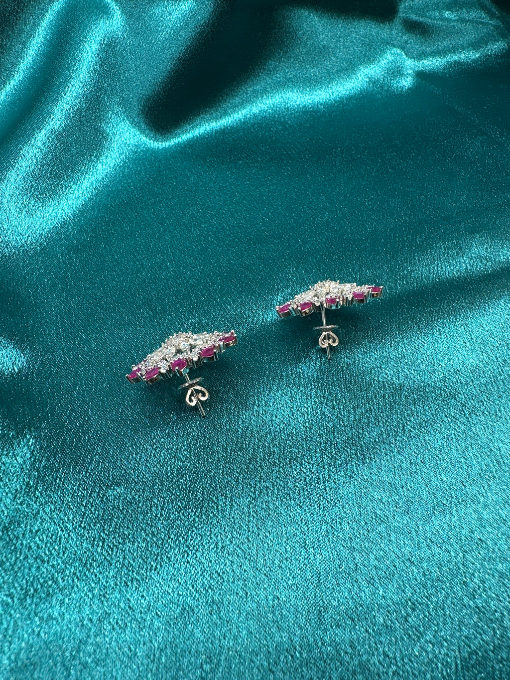 Women’s Fancy Silver Earrings