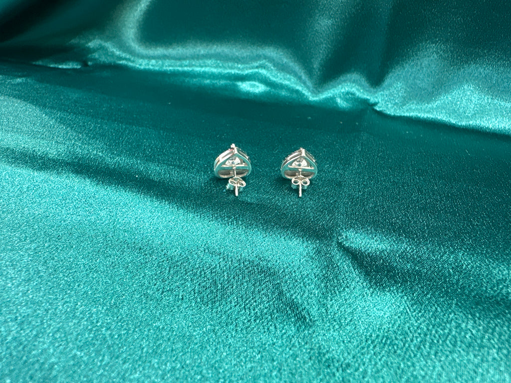 Women’s Fancy Silver Earrings