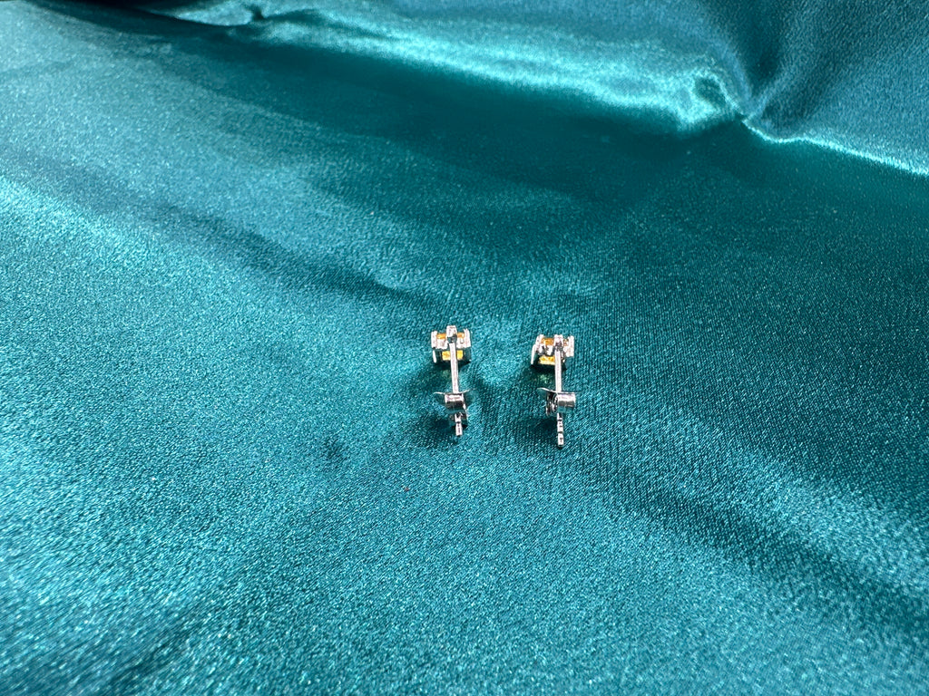 Women’s Fancy Silver Earrings