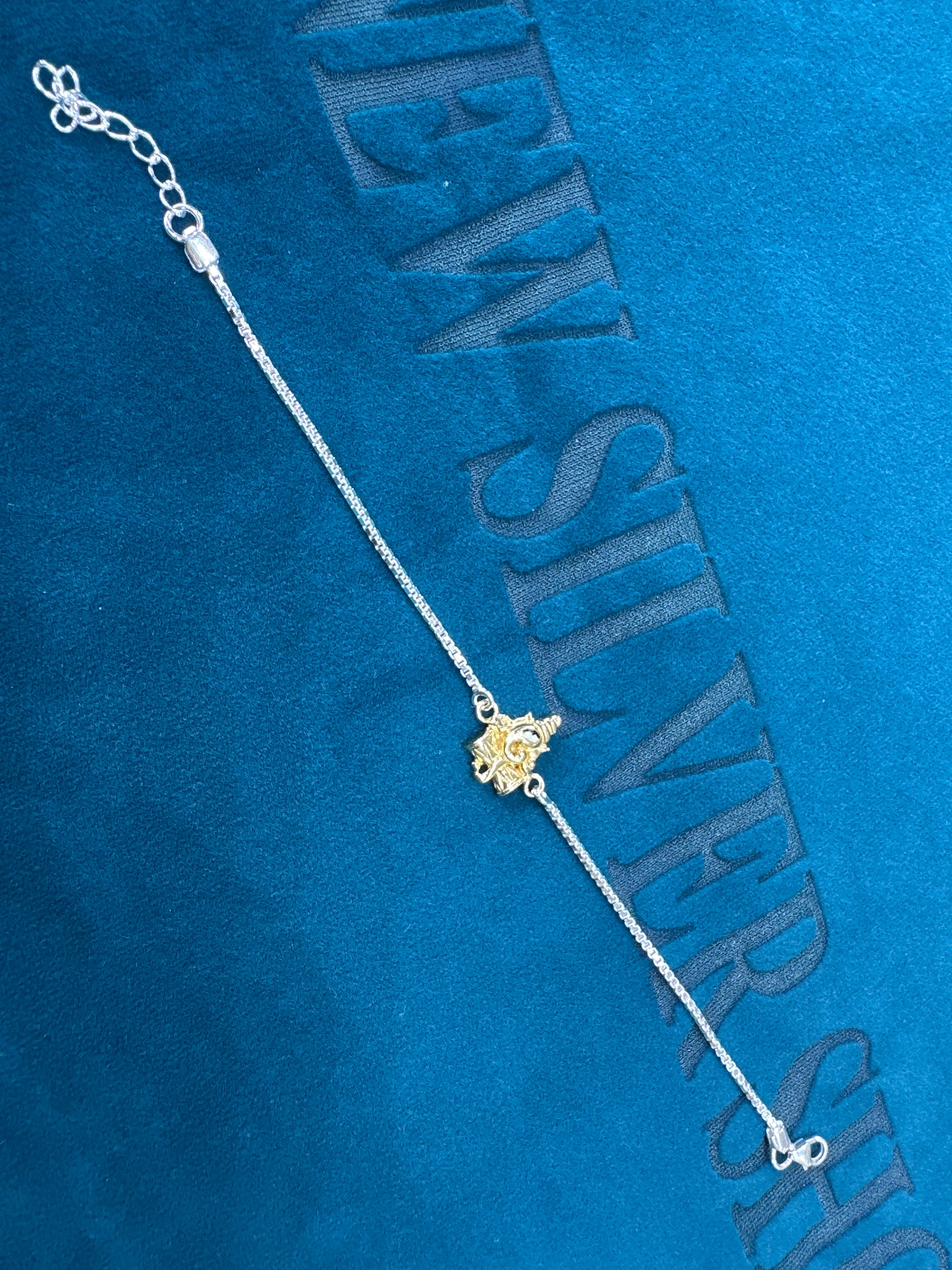 Silver Fancy Rakhi