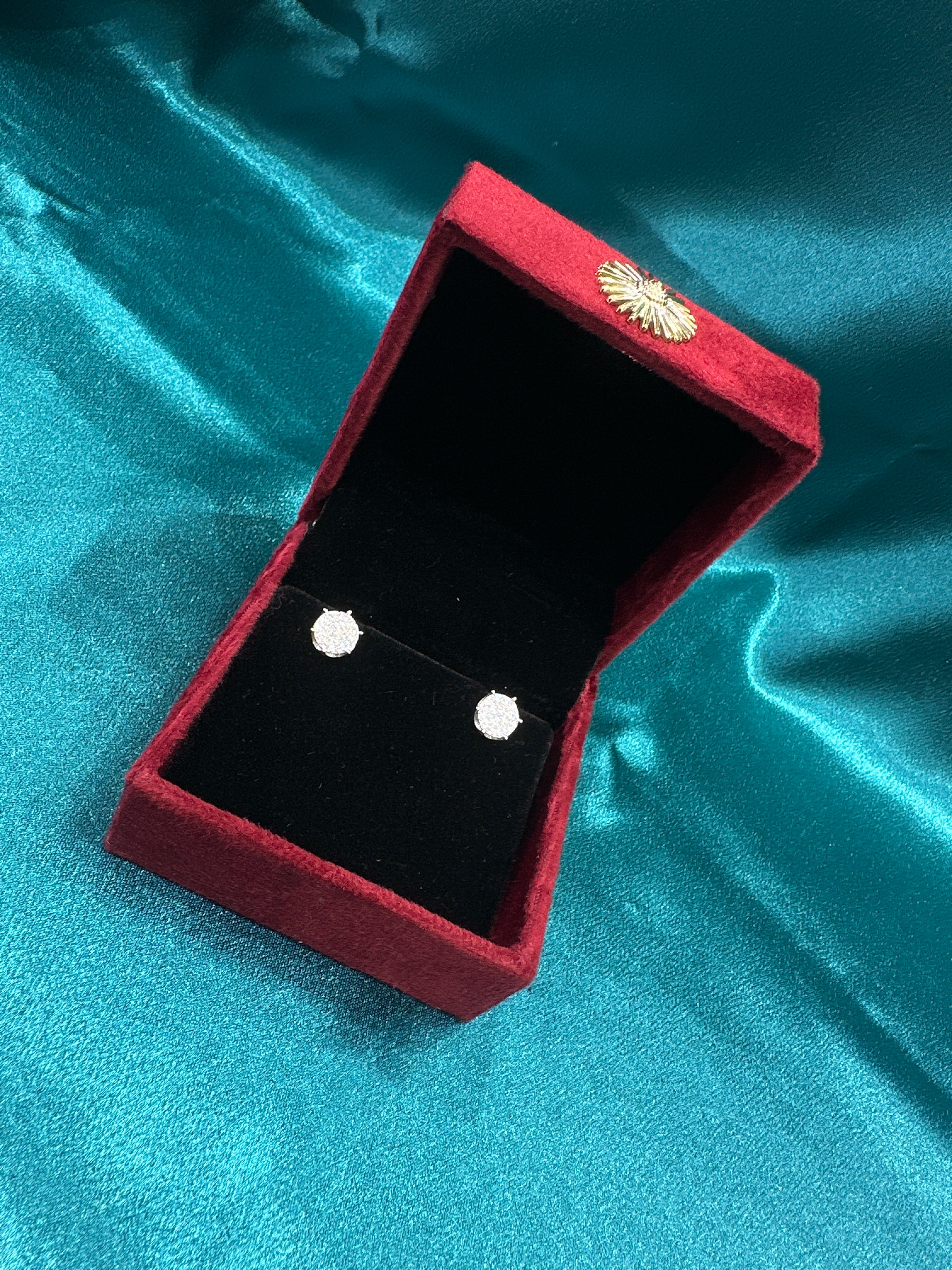 Women’s Fancy Silver Earrings