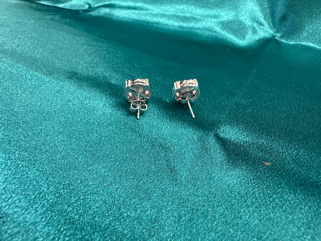 Women’s Fancy Silver Earrings