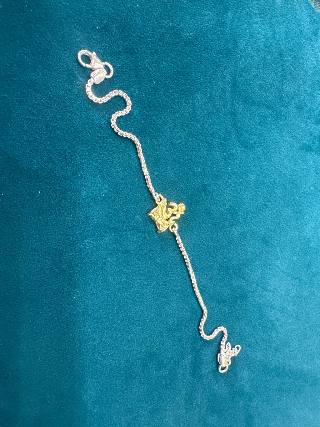 Silver Fancy Rakhi