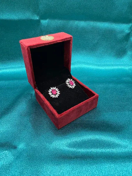 Silver Earrings with red center stone